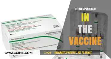 Exploring Vaccine Ingredients: The Truth About Penicillin