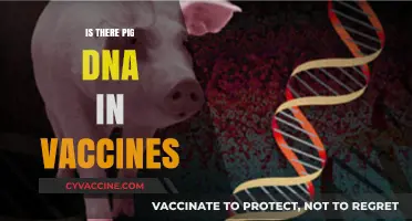 Unraveling the Myth: Pig DNA in Vaccines - A Scientific Perspective