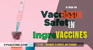 Unraveling the Myth: Do Vaccines Really Contain Pig Tissue?