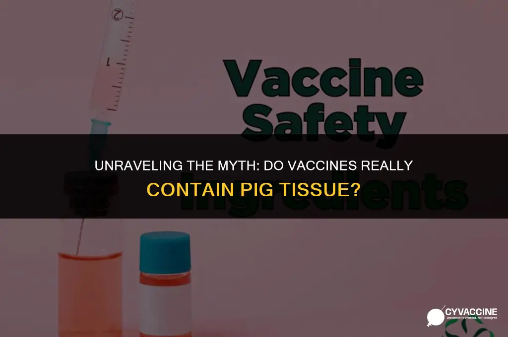 is there pig tissue in vaccines