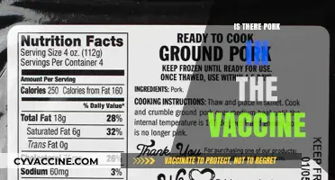 Exploring the Facts: Pork and Vaccine Ingredients