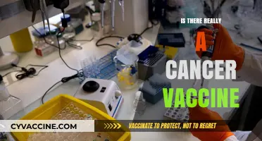 Exploring the Reality of a Cancer Vaccine: Hope or Hype?