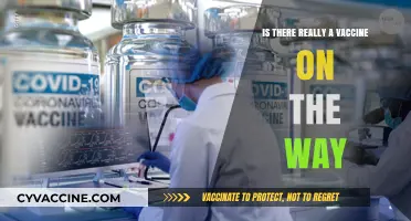 Is a COVID-19 Vaccine Truly on the Horizon? What We Know