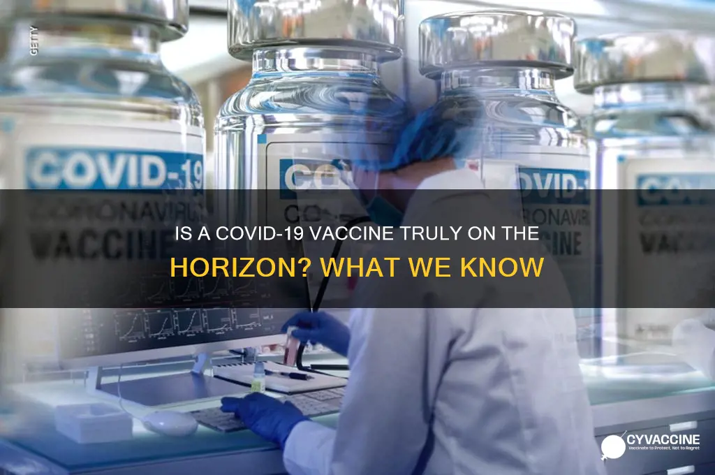 is there really a vaccine on the way