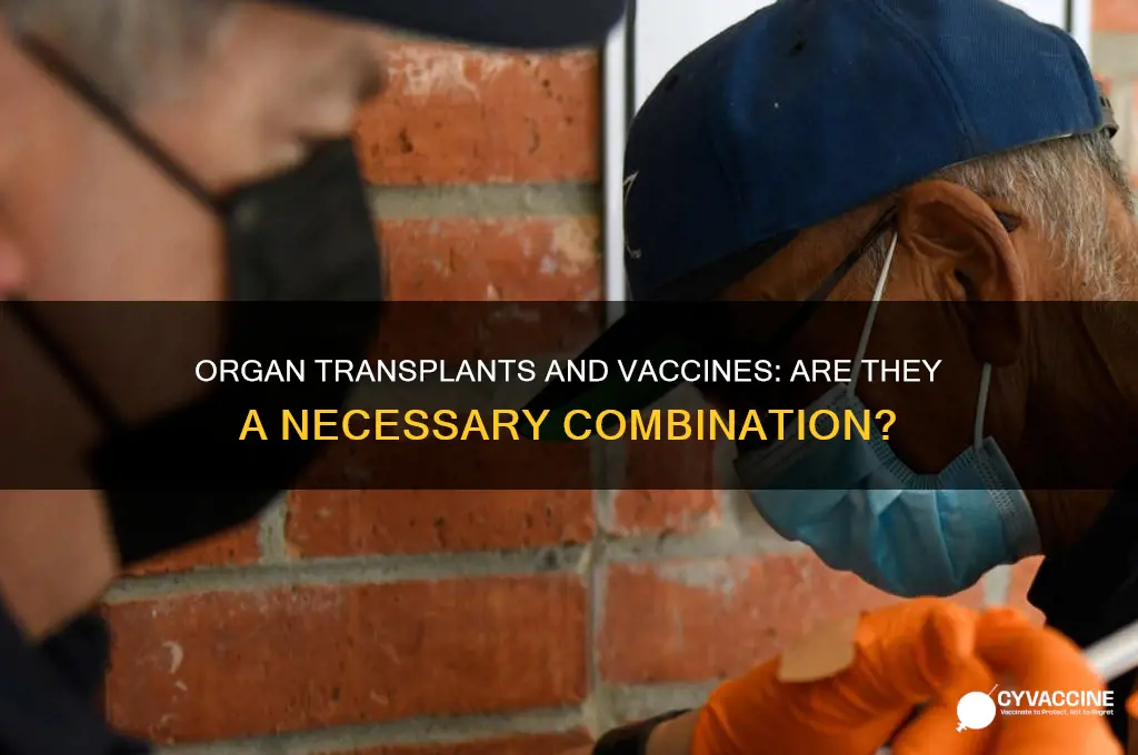 is there requiremwnt of vaccines for organ transplant