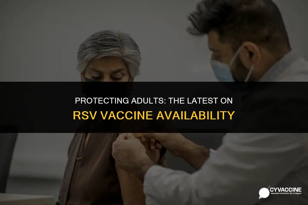 is there rsv vaccine for adults