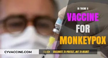 Exploring the Latest: Is There a Vaccine for Monkeypox?
