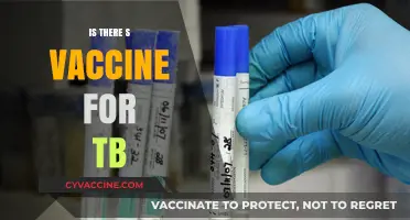 Exploring the Quest for a Tuberculosis Vaccine: Hope on the Horizon?
