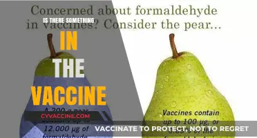 Unveiling the Truth: What's Really Inside the Vaccine?