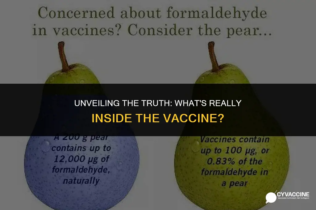 is there something in the vaccine