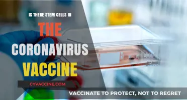Debunking Myths: Do COVID-19 Vaccines Contain Stem Cells?