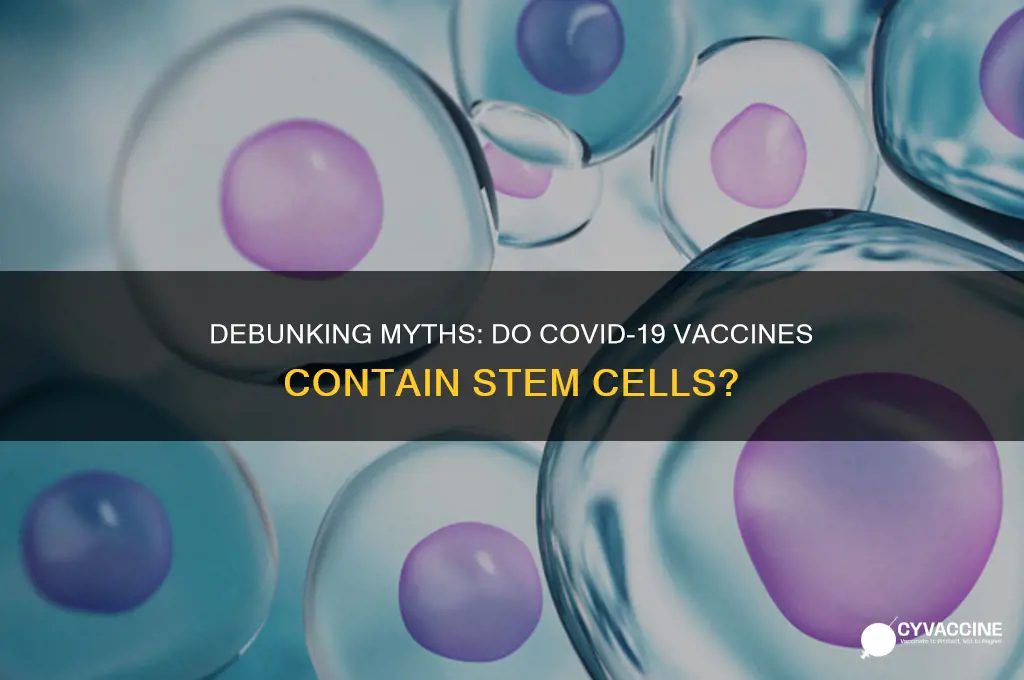 is there stem cells in the coronavirus vaccine