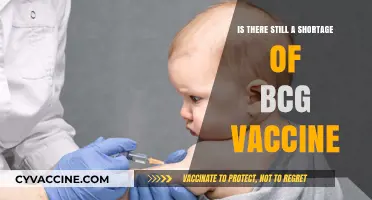 BCG Vaccine Shortage: Current Status and Global Implications Explored