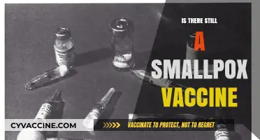 Exploring the Current Status of Smallpox Vaccination: Facts and Myths