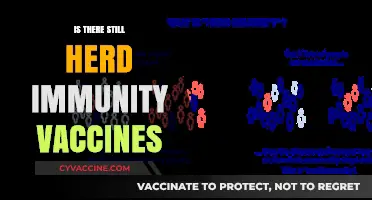 Herd Immunity in Question: The Current State of Vaccine Effectiveness