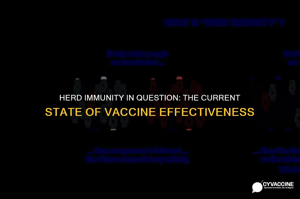 is there still herd immunity vaccines
