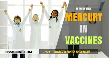 Mercury in Vaccines: Separating Fact from Fiction in Modern Medicine