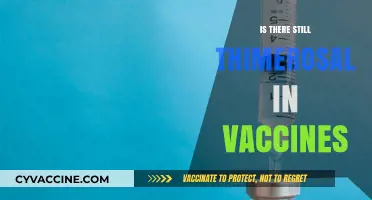 Exploring Thimerosal's Presence in Modern Vaccines: Facts and Myths