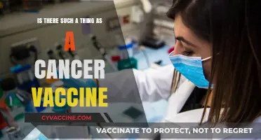 Cancer Vaccines: Myth or Breakthrough in Preventive Medicine?