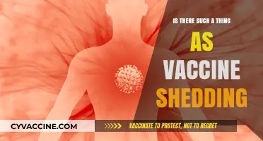 Vaccine Shedding: Myth or Reality? Separating Fact from Fiction