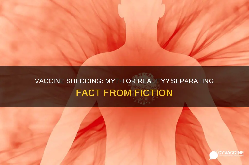 is there such a thing as vaccine shedding