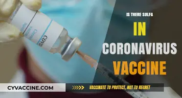 Unraveling the Facts: Sulfa in COVID-19 Vaccines