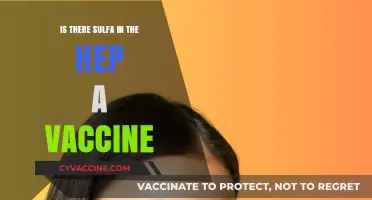 Hep A Vaccine and Sulfa: Unraveling the Ingredients and Concerns