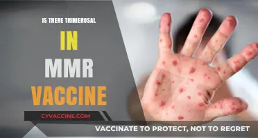 Unveiling the Truth: Thimerosal's Presence in MMR Vaccines