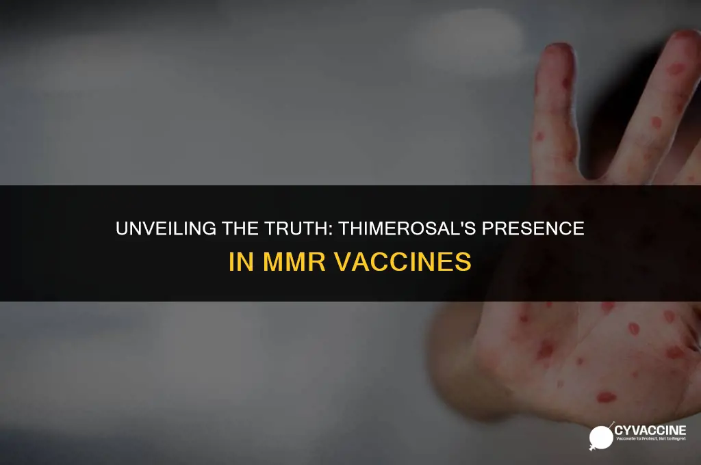 is there thimerosal in mmr vaccine