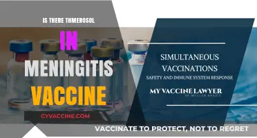 Exploring Thimerosal's Presence in Meningitis Vaccines: Facts and Myths