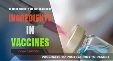 Vaccine Ingredients: Separating Dangerous Myths from Scientific Truth