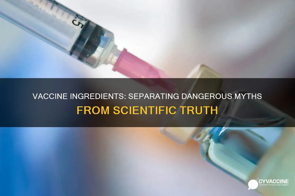 is there truth to all the dangerous ingredients in vaccines