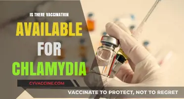Exploring Chlamydia Vaccination: Current Status and Future Prospects