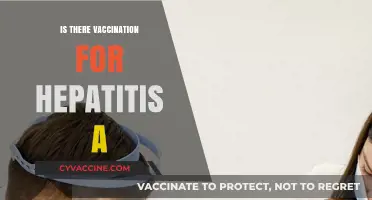 Exploring Hepatitis A Vaccination: Facts, Myths, and Importance