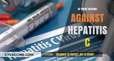 Exploring Hepatitis C: The Quest for a Protective Vaccine