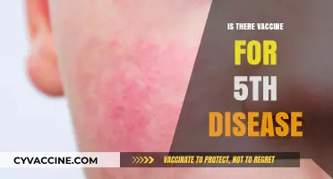 Exploring Immunity: The Quest for a Fifth Disease Vaccine