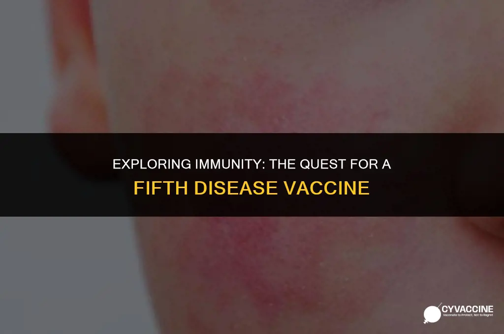 is there vaccine for 5th disease