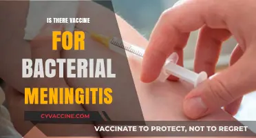 Combatting Bacterial Meningitis: The Quest for Effective Vaccination