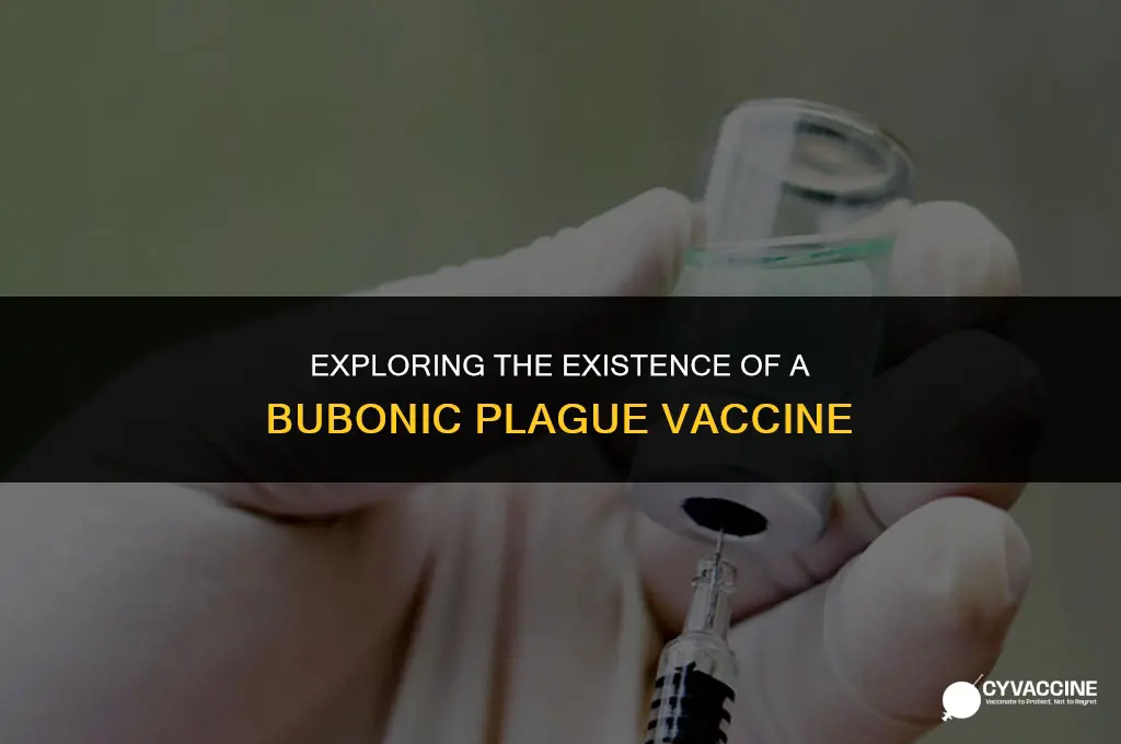 is there vaccine for bubonic plague