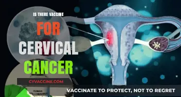 Exploring Cervical Cancer Vaccines: Facts, Myths, and Prevention