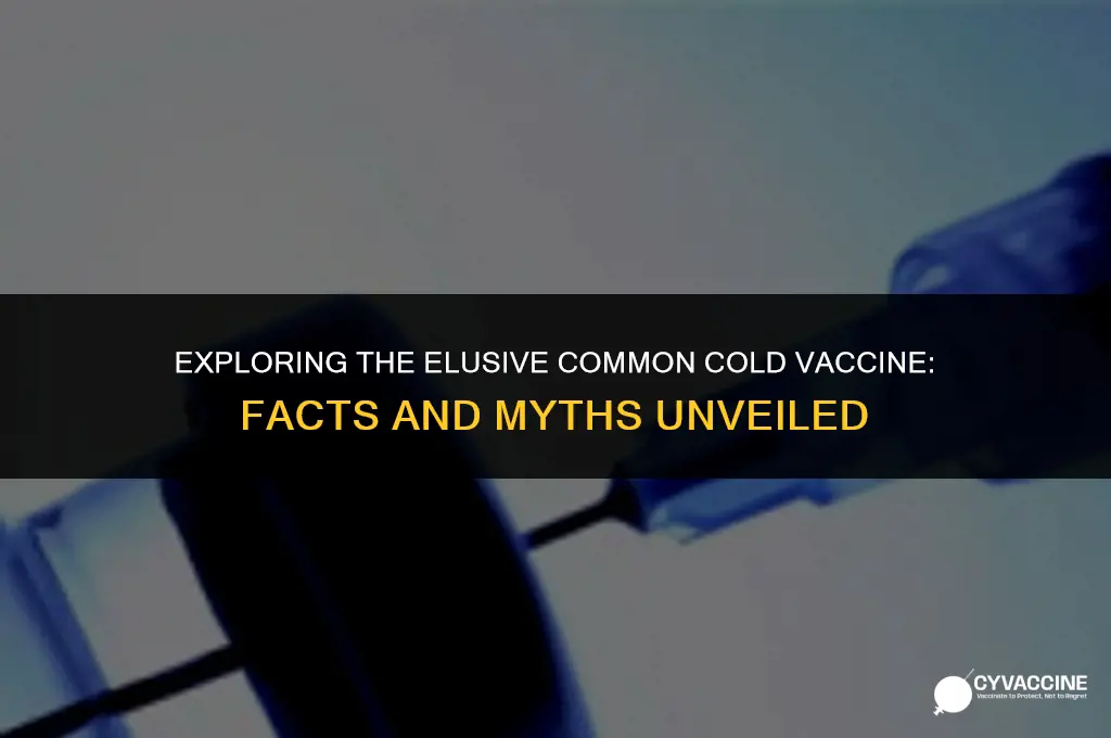 is there vaccine for common cold