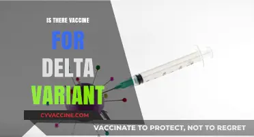 Combatting the Delta Variant: The Quest for an Effective Vaccine