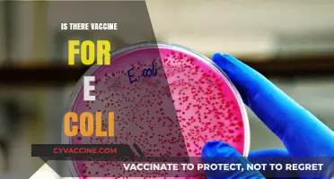 Combatting E. Coli: The Quest for an Effective Vaccine