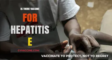Exploring Hepatitis E: The Quest for a Protective Vaccine