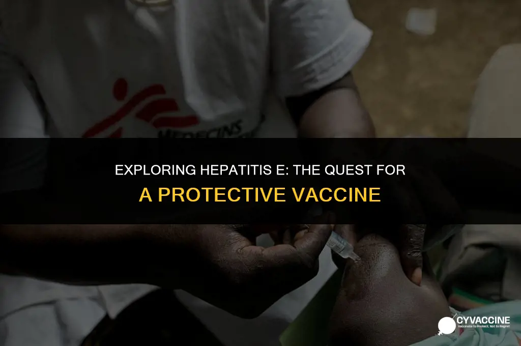 is there vaccine for hepatitis e