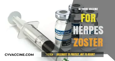Exploring the Latest Advances in Herpes Zoster Vaccination