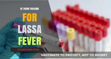 Exploring the Quest for a Lassa Fever Vaccine: Hope on the Horizon?