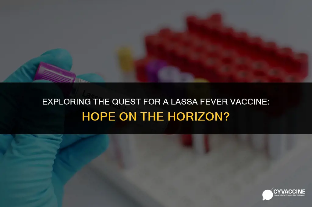is there vaccine for lassa fever