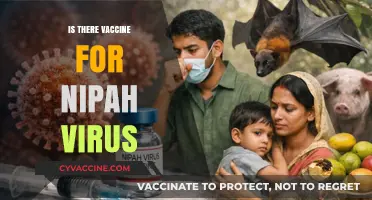 Exploring the Quest for a Nipah Virus Vaccine: Hope on the Horizon?