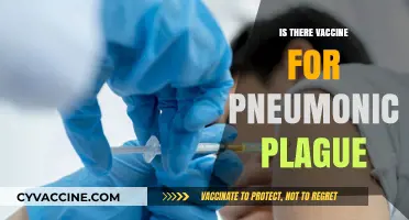 Combatting Pneumonic Plague: The Quest for an Effective Vaccine